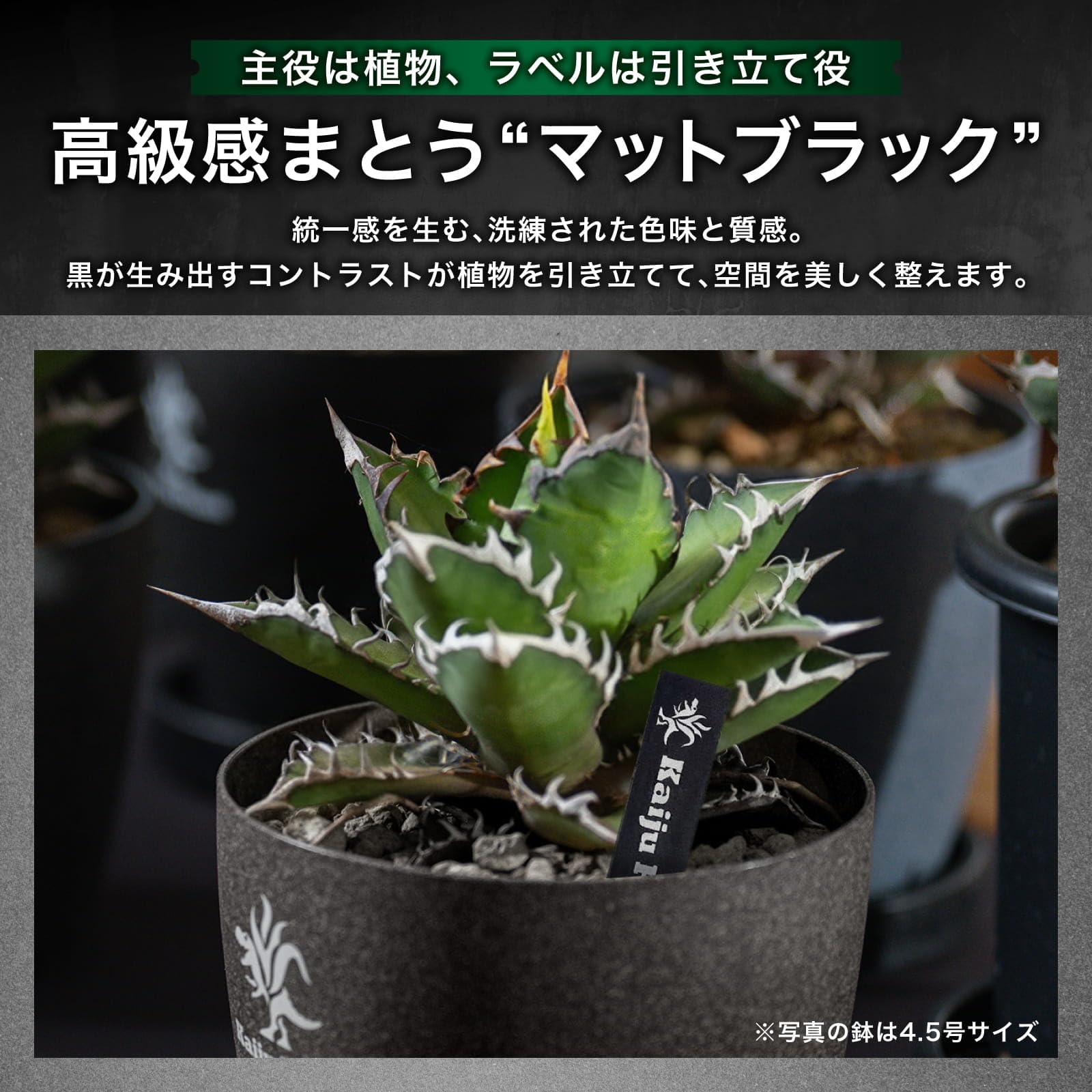 Amazon.co.jp: Kaiju Plant 園芸ラベル 100枚入 黒ラベル プランツタグ